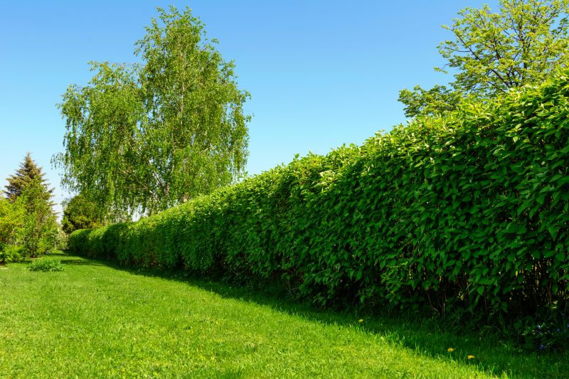 Density and Length of Hedge