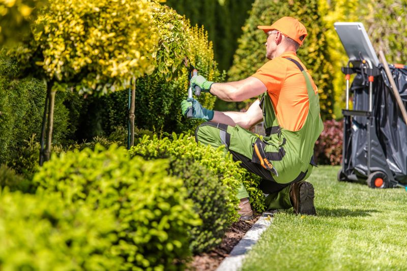 Close-up of Pruned Hedges